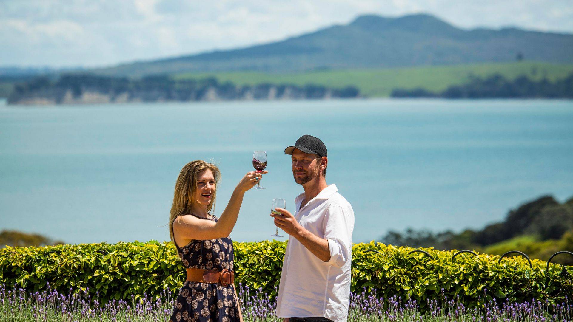 waiheke wine tour grabone