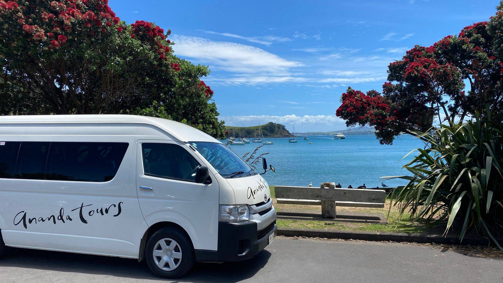 waiheke wine tour bus