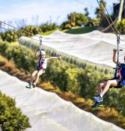 Art, Nature and Adventure Tours