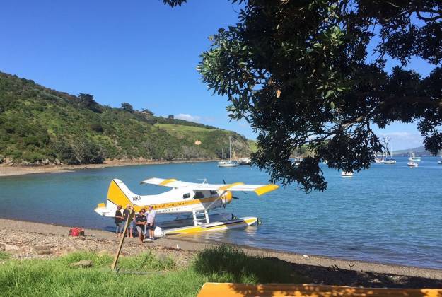 Yellow and white seaplane on the beach at Matiatia Wharf, Waiheke Island