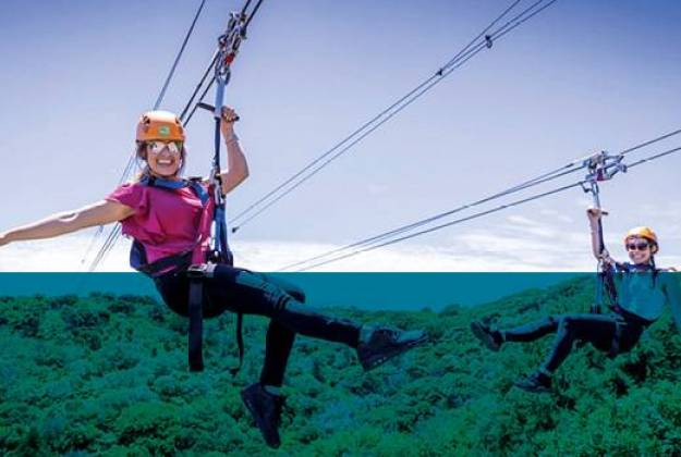 Art, Nature and Adventure Tours