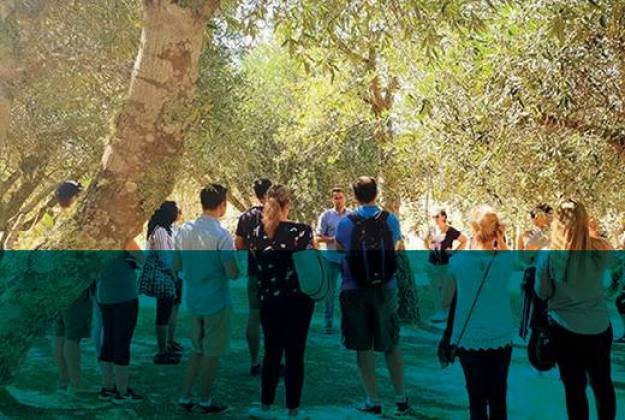 Corporate and Incentive Tours