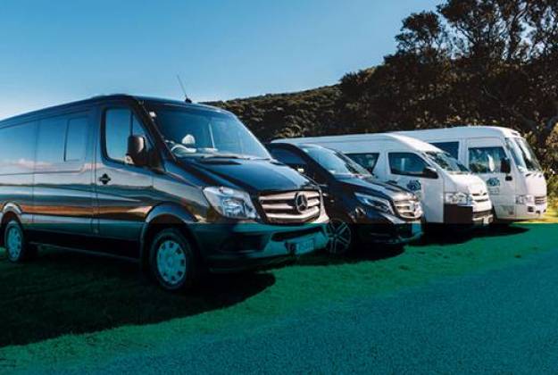 Custom Private Tours