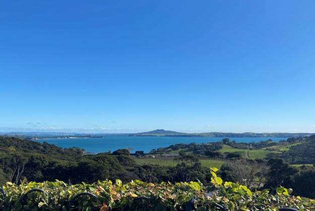 View from Mudbrick Vineyard