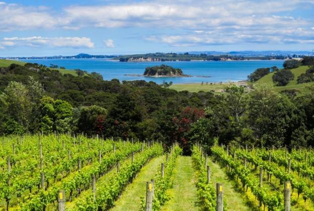 Waiheke Wineries